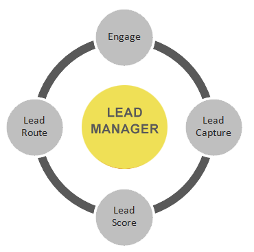 Lead Manager Services